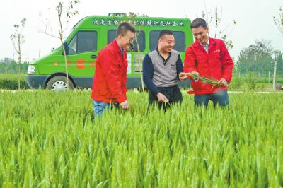 萬莊化肥定制化生産讓經銷商(shāng)扮演新角色